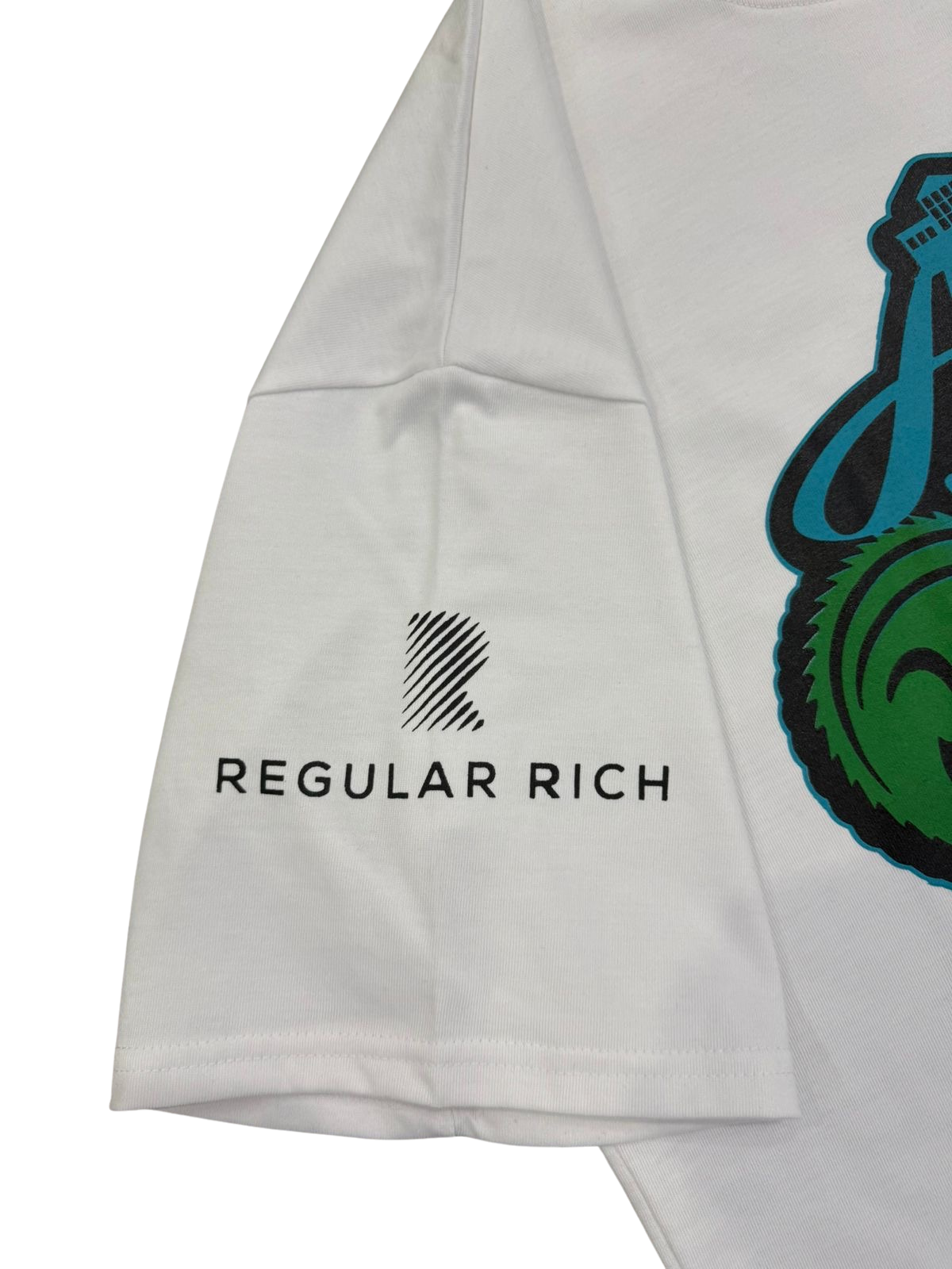 Regular Rich | "Adapt to Your Surrounding” Graphic Tee